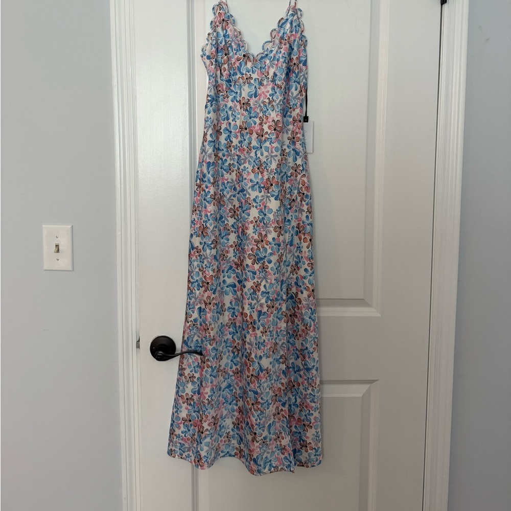 Astr Floral Maxi Dress in Blue and Pink